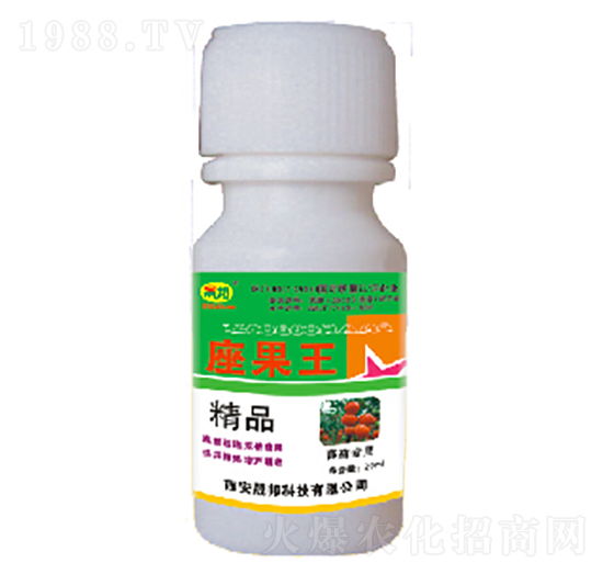 ���ь���-������-�ɰ�����