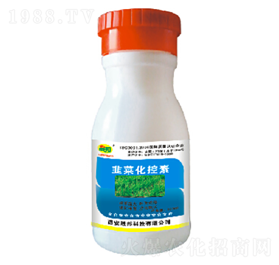 �²˻�����-�ɰ�����