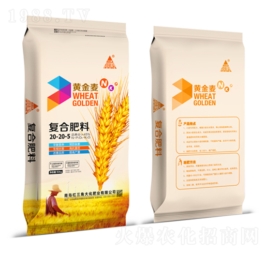 ��(f��)�Ϸ���20-20-5-�S����-�t���Ǵ�