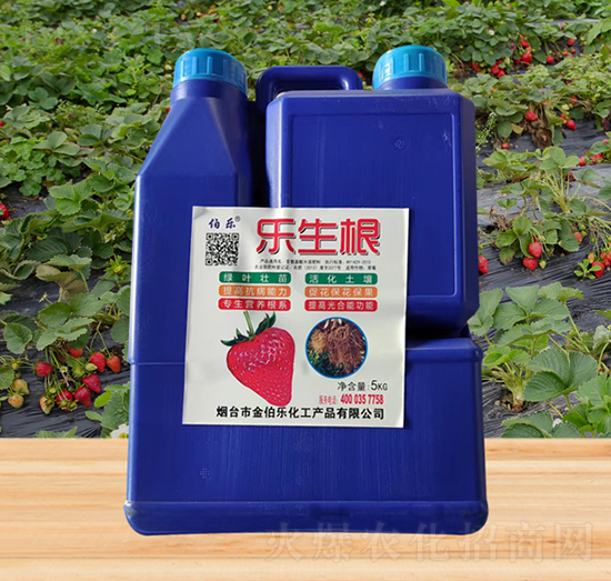 ��(l��)����-�𲮘�(l��)