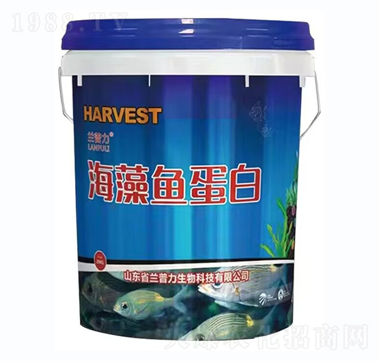 �����~(y��)����-�m����