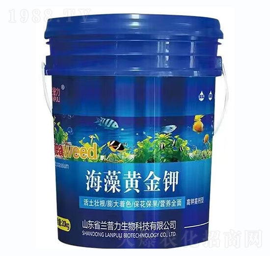 ��⛸��}��-�����S���-�m����