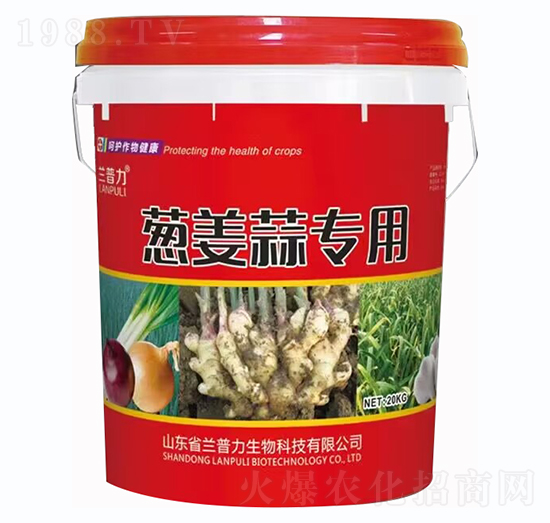 �[���⌣��-�m����