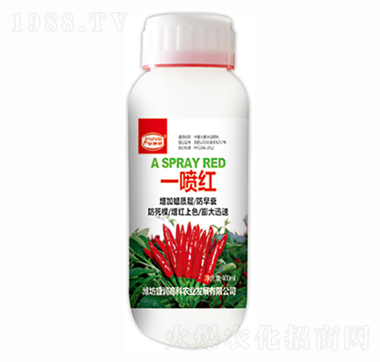 һ���t-ʢ���߿�