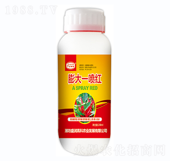 ���һ���t-ʢ��(r��n)�߿�