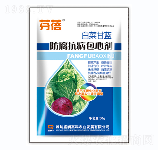 �ײ˸��{�����������Ą�-����-ʢ���߿�