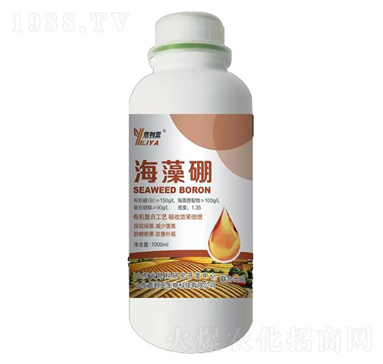 ������-������