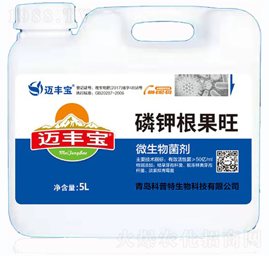 ��⛸�����-�~�S��-������