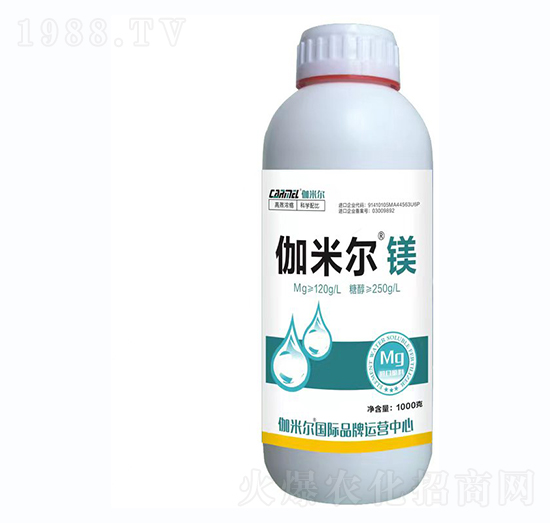 伽米爾鎂-羅思姆