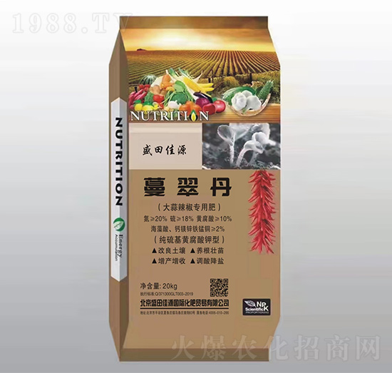 �����������÷�-���䵤-�����t