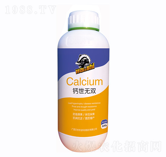 �}���o�p-�f���r(n��ng)�I(y��)