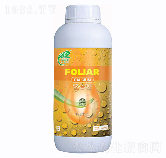 �����ᡤ������-�f���r(n��ng)�I(y��)