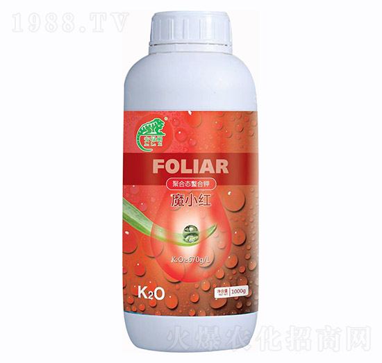 �ۺϑB(t��i)�����-�����ᡤħС�t-�f���r(n��ng)�I(y��)