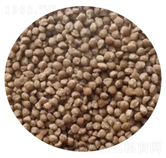 �D����ɒ��A�Ȼ��@���w����-���r(n��ng)����