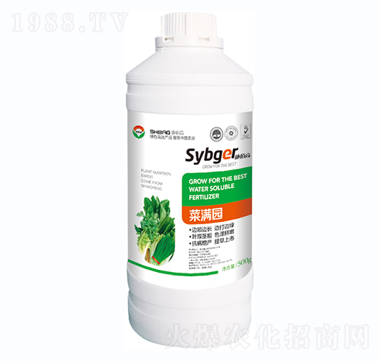 �˝M�@-ʩ�۸�