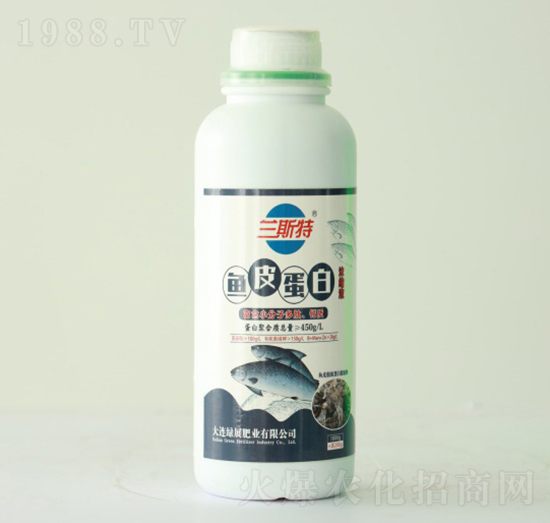 1000g�m˹���~Ƥ����-�Gչ�ʘI(y��)