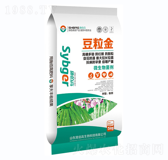 ������-ʩ�۸�