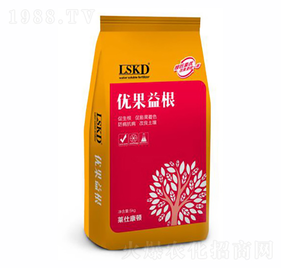 ��(y��u)�����-�R�˿��D