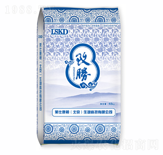 ��-�R�˿��D