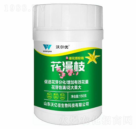 �߻��ڷ۾�-����֦-�֠���(y��u)