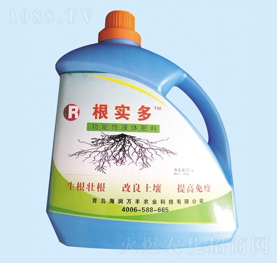 ������-�����f�S