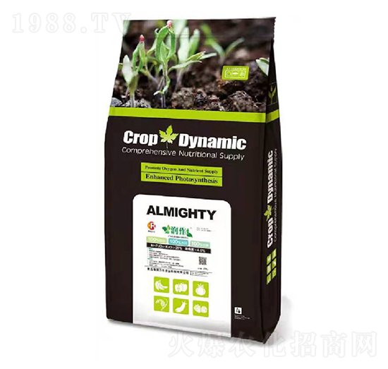 �S����⛹��ܷ�-��(r��n)��-����(r��n)�f(w��n)�S