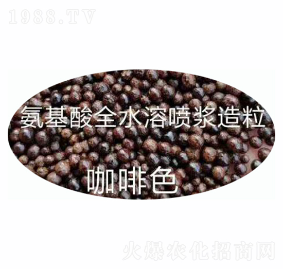 ������ȫˮ�ܣ�����ɫ��-ʩ����