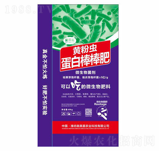 ���װ�����-ʩ����