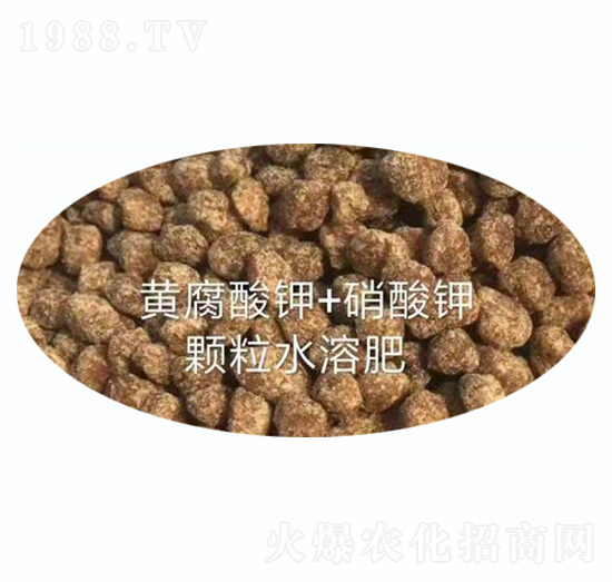 �w��ˮ�ܷ�-ʩ����