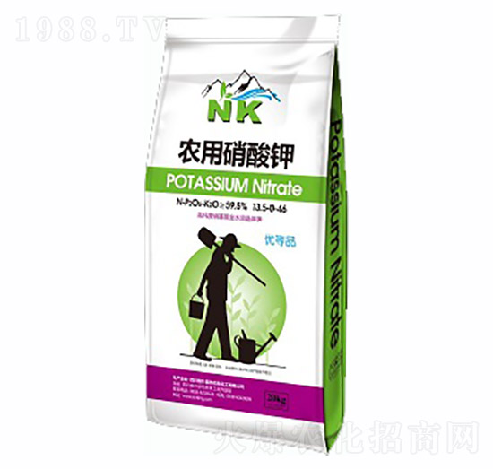 �r�������-�r�ƻ���