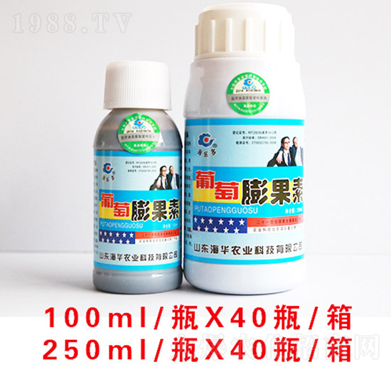 ��������ؽM��-���A�r�I(y��)