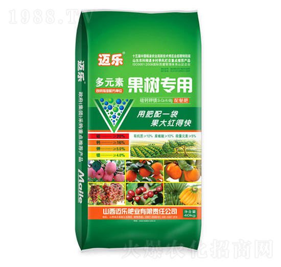 ��Ԫ�ع��䌣�÷�-�~��-�G��ɭ�r(n��ng)�I(y��)