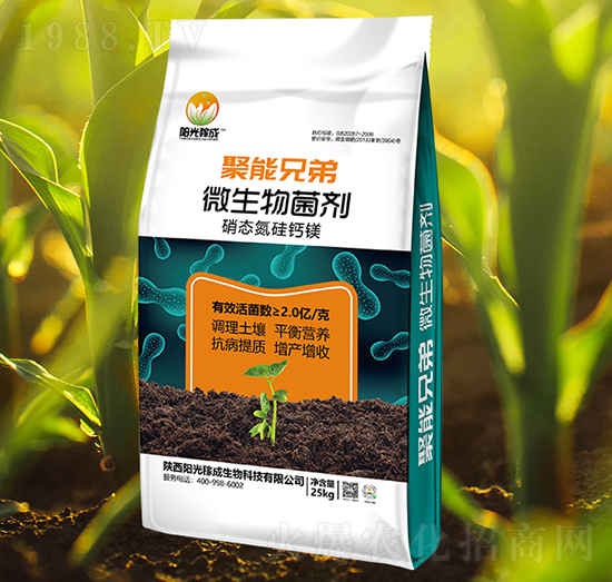 ΢�������-�����ֵ�-ꖹ�ڳ�