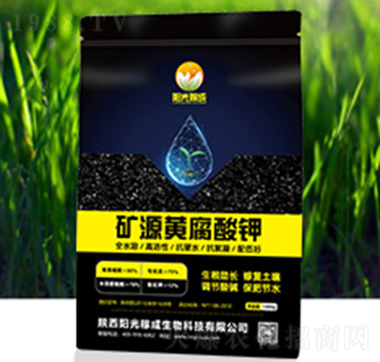 �VԴ�S�����-ꖹ�ڳ�