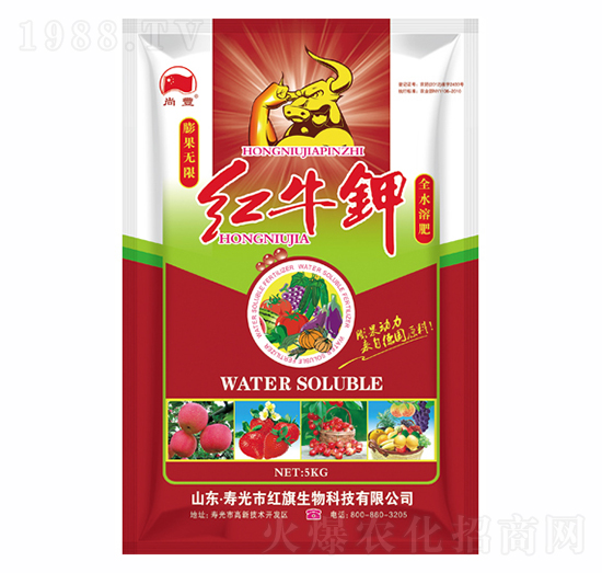 �tţ�-�t������