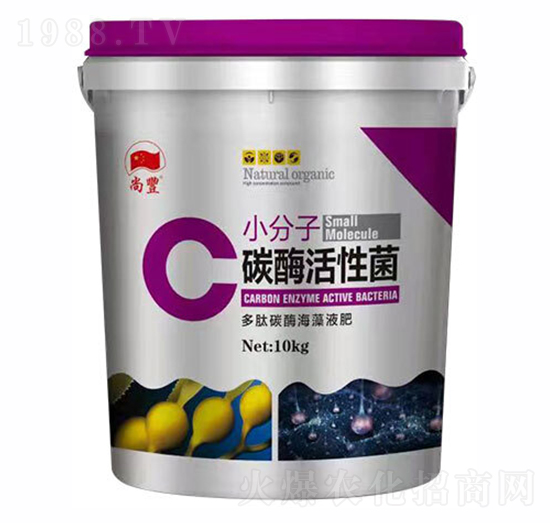 С����̼ø���Ծ�-���S-�t������