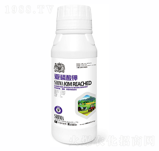 �������-�{�R�ʘI(y��)