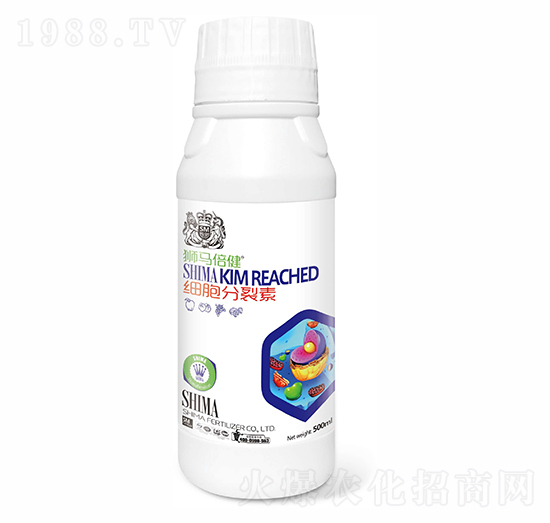 ����������500ml-�{�R�ʘI(y��)