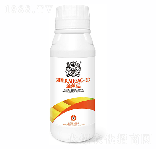 �𽶂H-�{�R�ʘI(y��)