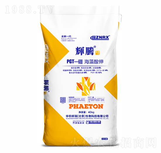 �������-���x�v-�A�r(n��ng)����