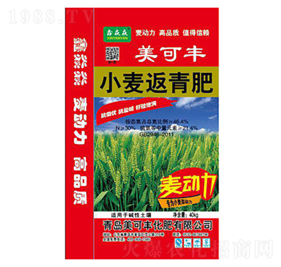 С�������-�����S