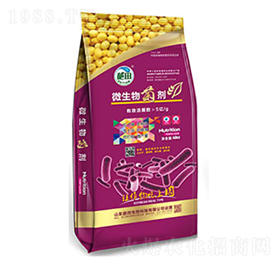 ��ɫ���b΢�������-��������