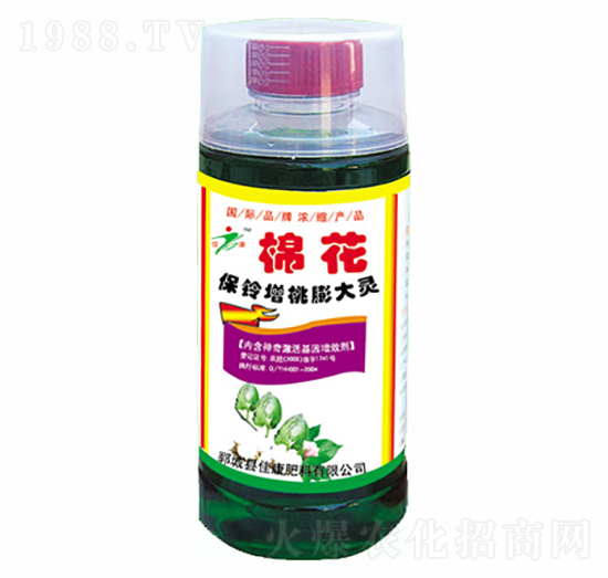 �����������`-�ѿ�