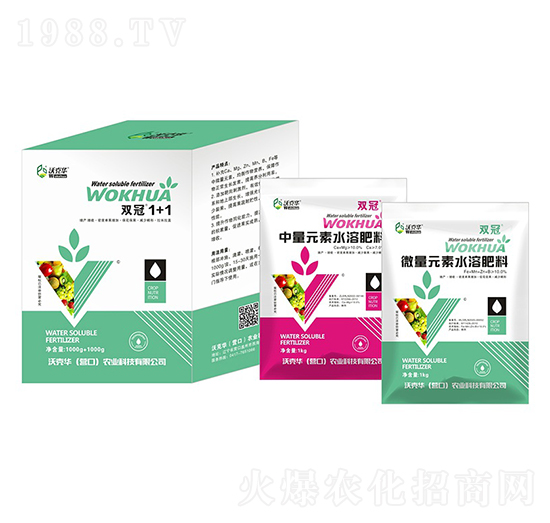 �p��1+1-�ֿ��A