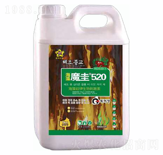 ����ħ��520-ס�̺긣