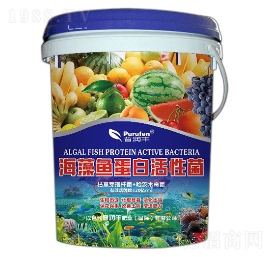 �����~(y��)���׻��Ծ�-�՝�(r��n)�S