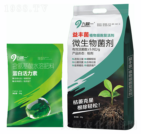 ���׻�����-�ż�һ