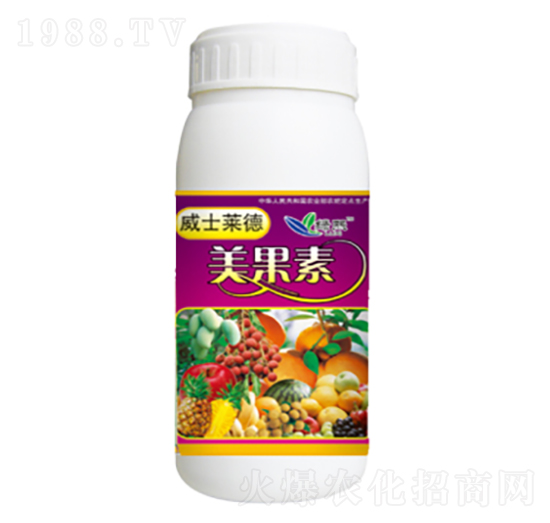 ������-�G��-��ʿ�R��