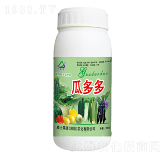 �϶��-�G��-��ʿ�R��