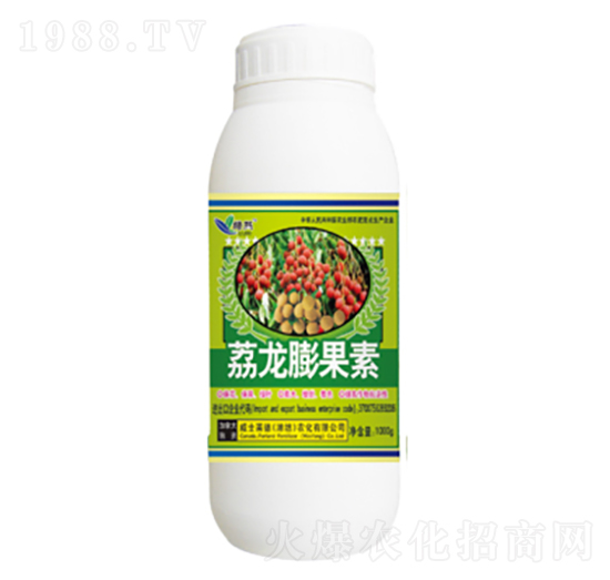 ���������-�G��-��ʿ�R��